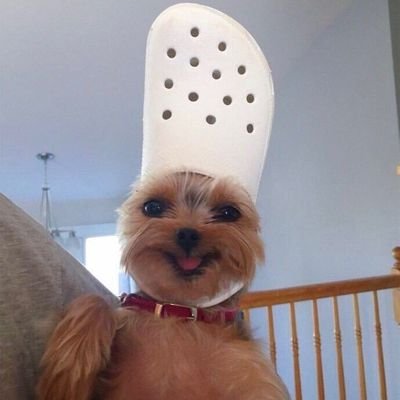 eumenso's profile picture. .