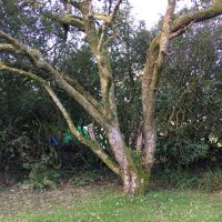 TheTreeHouseReduceReuseRecycle (@treereuse) 's Twitter Profile