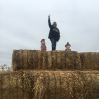 Just_Jill (@jillmckoin) 's Twitter Profile