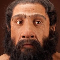 Maine Neanderthal(@MEneanderthal) 's Twitter Profile Photo