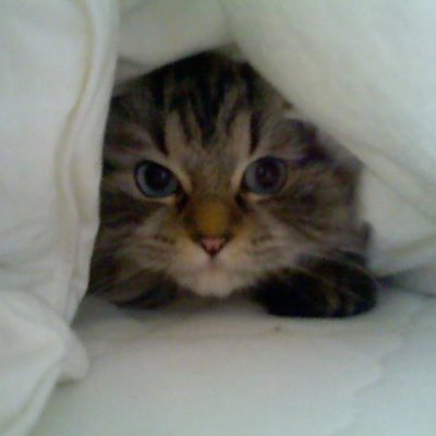 wowdude23's profile picture. 