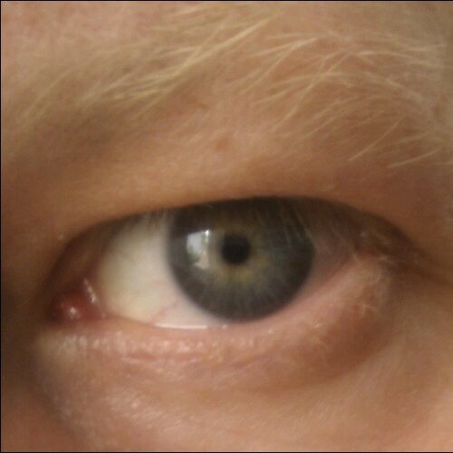 londonhomeless's profile picture. 