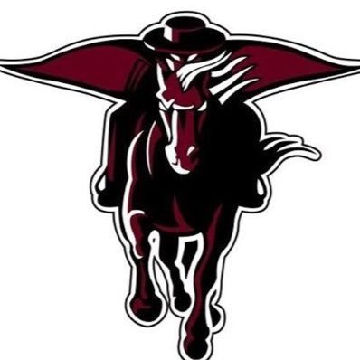 Official X account for the Northbrook High School swim team in Spring Branch ISD.