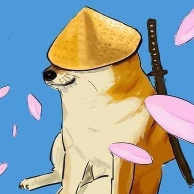 Nibbas85095478's profile picture. HUMAN