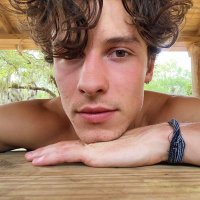 —javi ama a Shawn🇨🇱(@rosesfforshawn) 's Twitter Profile Photo