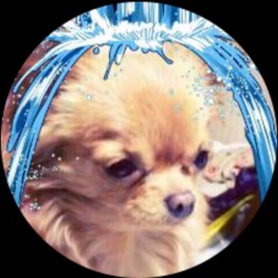 ベンジャミンあき🐶さんのプロフィール画像