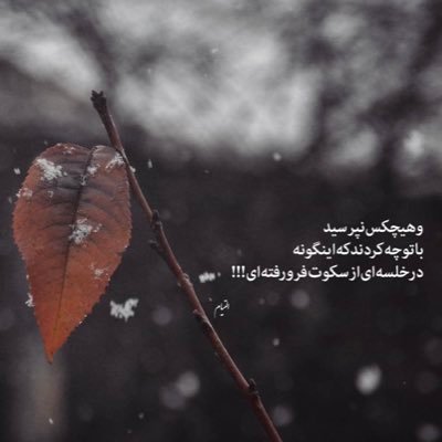 walled00000's profile picture. Walled