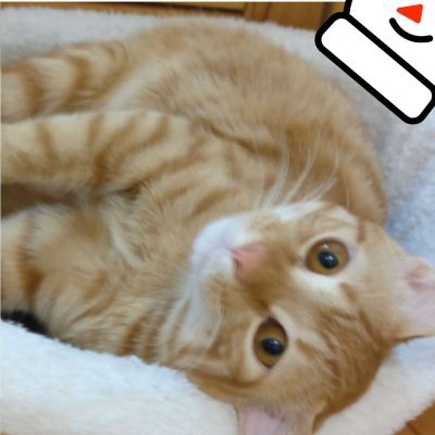 marschentx's profile picture. Devops Infrastructure Productor