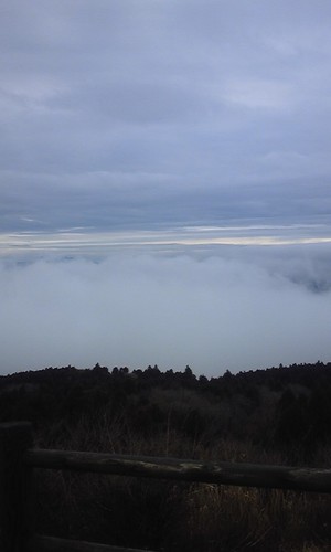 miyukids28's profile picture. 子育て終わりぃ〜 早く孫の顔がみたいと願う日々（笑）これからもいろんなことに興味を持って、人生楽しみマス♪ 昨年はハーフマラソンにチャレンジしたから、今年はフル？ʕʘ‿ʘʔ美味しいお酒が大好きで、いつまでも若くいたいと日々努力中♪