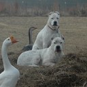 Donna Salem - @donnafsalem - Twitter