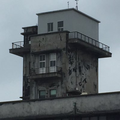 riemamatypebeat's profile picture. 