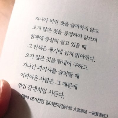 wVhHoUp0drka1Gg's profile picture. 서울, 생각할줄 아는 머리, 볼줄 아는 눈, 느낄줄 아는 가슴 (kendo, 산책, 홈트, 뒷산 하이킹, 영화, 음악, 독서, 주식, 홍차, 체스, 프라모델)