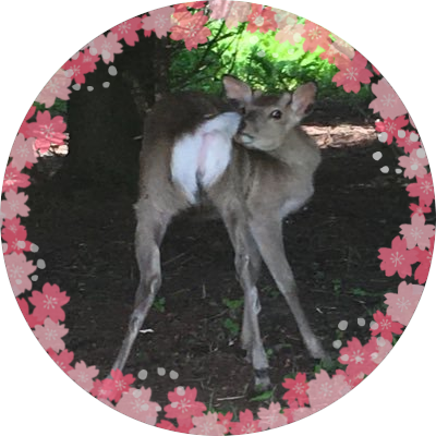 脱衣場🍒👛仲介管理はTK不動産🏠さんのプロフィール画像