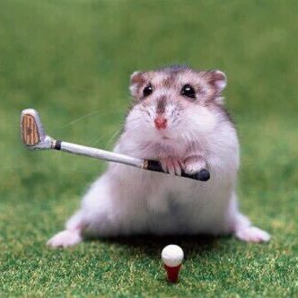 uz_of_uz's profile picture. 