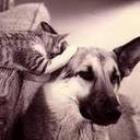 edith marte - @edithmarte - Twitter