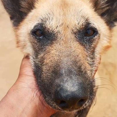 Ankita58827056's profile picture. every life matters