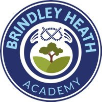 Year 3 at Brindley Heath(@Y3Brindley) 's Twitter Profile Photo