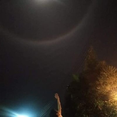 BTCTrading4's profile picture. trader