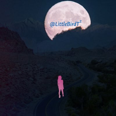 LittleBirdT2 Profile Picture