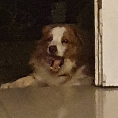 randombafoon's profile picture. 