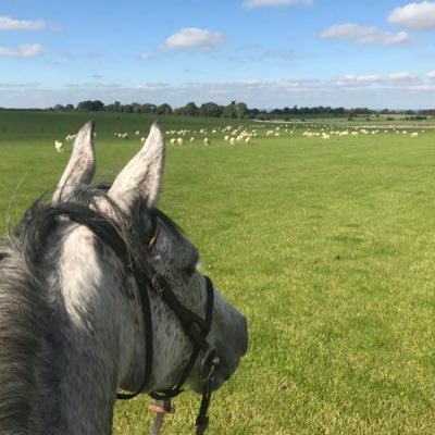 RhonaMccooey's profile picture. 