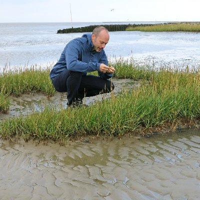 I am a biologist studying the evolution of small arthropods. My focus is presently on intertidal mites but I am also studying soil oribatid mites.