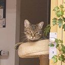 Tomáš Krejčí - @KrejciBob - Twitter