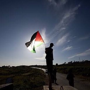 jamal35191058's profile picture. Adobe Lover