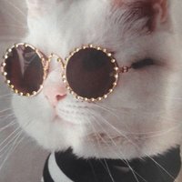 Wexssex (@hohenalto) 's Twitter Profile