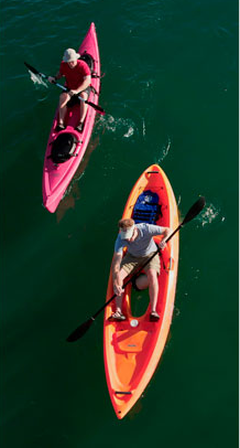 CariLide's profile picture. Passionate about creating life in alignment with our Inner Guidance System. Constantly recharging life/career/relationships in alignment with one's Life Purpose