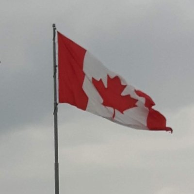 klahviii's profile picture. Horny dilf
DM ME