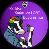Mülkiye Kadın ve LGBTİ+ Dayanışması (@sbfkadinlgbti) 's Twitter Profile