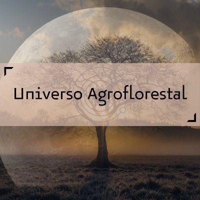UAgroflorestal's profile picture. Somos um #podcast querendo conversar com pessoas do Universo AgroFlorestal, mostrando suas experiências profissionais e pessoais. #agrofloresta