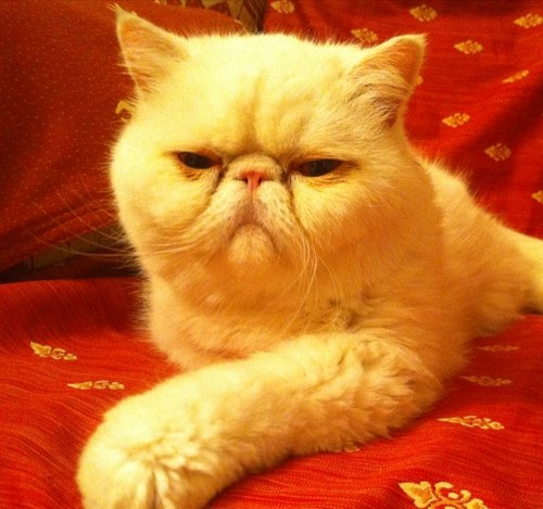 javiercebrian's profile picture. ciudadano del mundo (y preocupado por el mismo) residente en Albacete city. Agradecido xo sufriendo x la suerte q el destino me esta deparando de momento