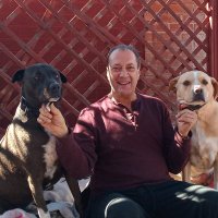 Tony Venuti , Assessing Human behavior (@tonyvenutishow) 's Twitter Profile Photo
