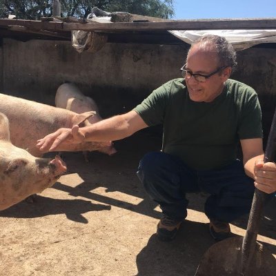 JeffWritingServ's profile picture. Caminante (Sp.) = one who walks.