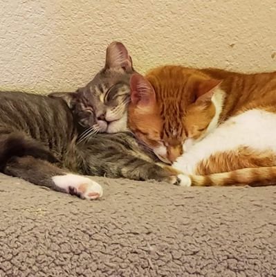 KezDisney's profile picture. 