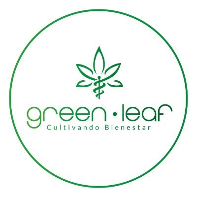 Compañia de Cannabis licenciada, ubicada en Colombia/Valle del Cauca, cultivo 100% orgánico sin pesticidas, producción legal de cannabis medicinal para venta.