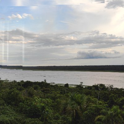 Miguel_rvi's profile picture. 