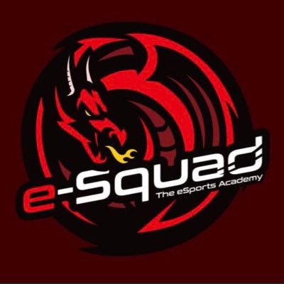 e-Squad Academy Profile