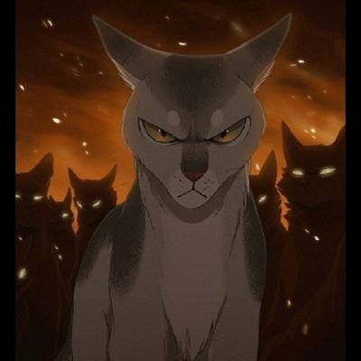 Holly77366616's profile picture. i like warrior cats,anime,jojos bizarre adventure anime,star stable and roblox