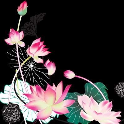 🌸和やアジアンをコンセプトに、衣装を作成致します、お客様のニーズにあった一点物をオーダーメイドで、お仕立て致します。
お問い合わせはDMで頂ければ幸いです。