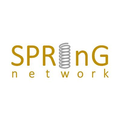 SPRinG network Profile