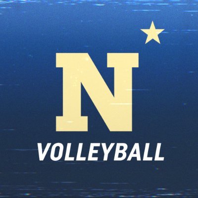 NavyVolleyball Profile Picture