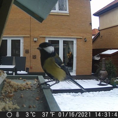 Douglas91230257's profile picture. 