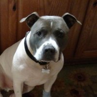 Sammie P (@sam212937) 's Twitter Profile Photo