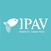 IPAV (@ipav_pt) Twitter profile photo IPAV (@ipav_pt) Twitter profile photo