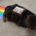 Walter Lawlor - @Winning_Alpaca - Twitter