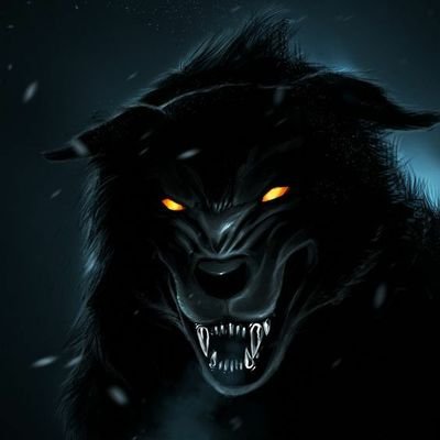 DragonsinMeli20's profile picture. 