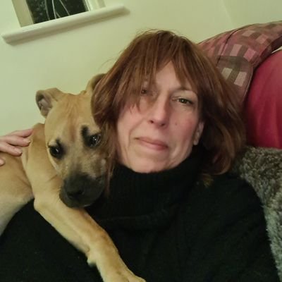 hellyesrightnow's profile picture. What do you think?